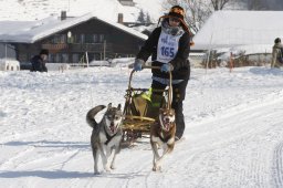 Lenk 2012 SM